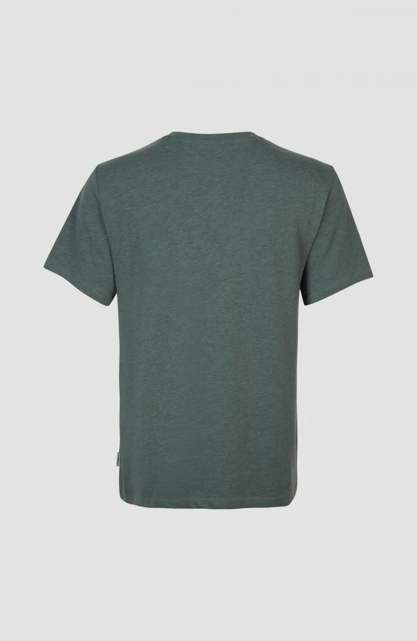 Essentials V-Neck T-Shirt | Balsam Green