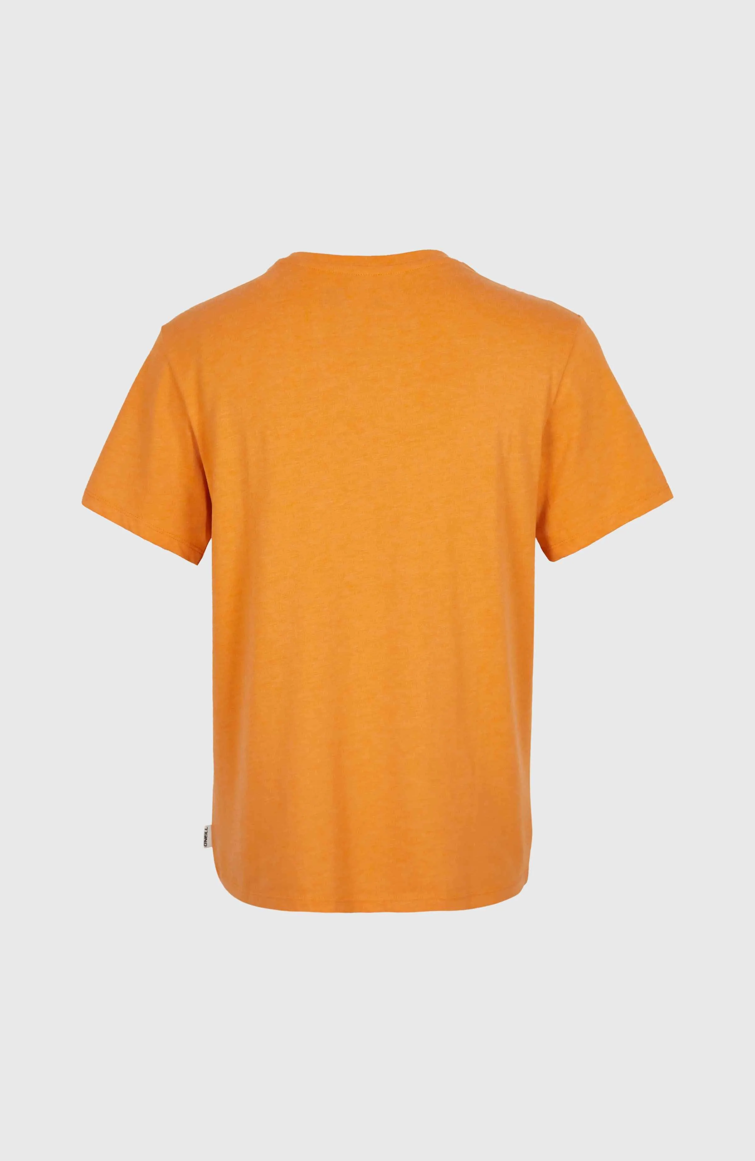 Essentials V-Neck T-Shirt | Nugget